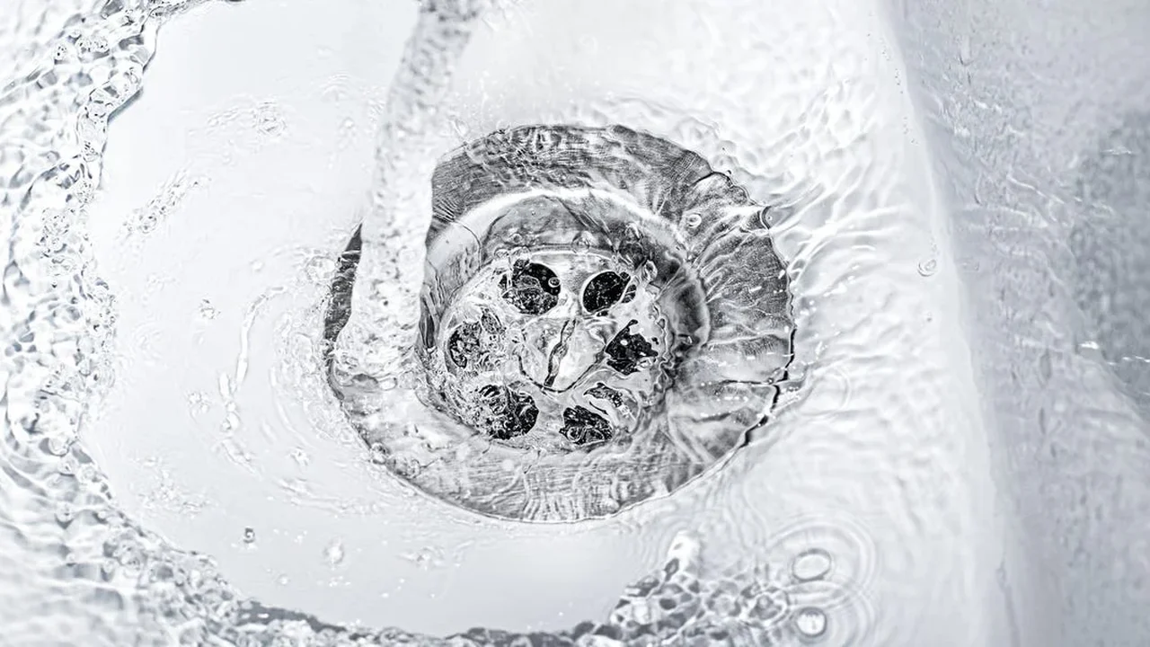 Creatine Breaks: What the Evidence Says About Taking a Washout